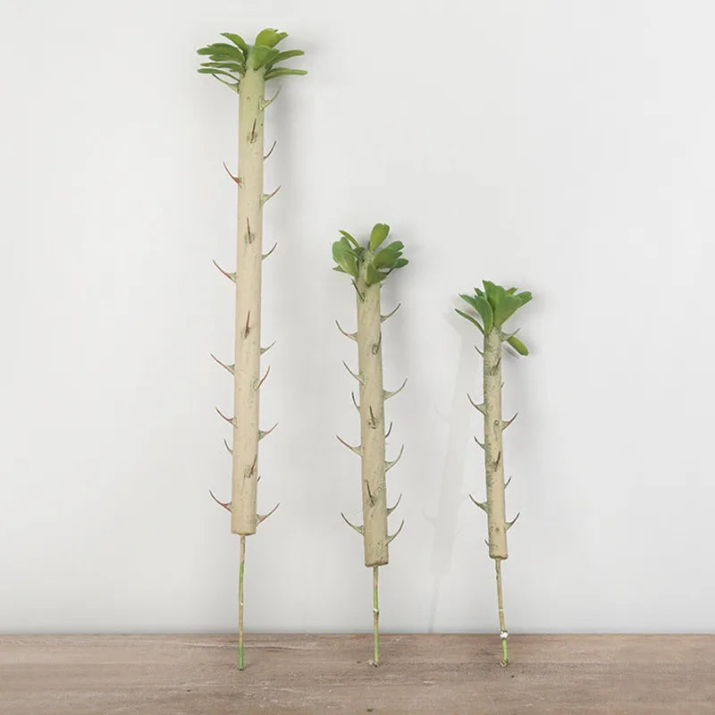 Evergreen Cactus Accent